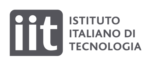 Italian Institute of Technology